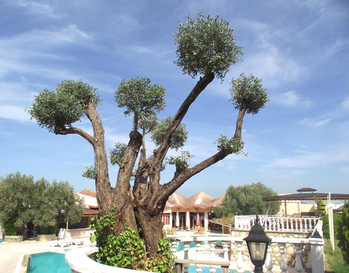 Alize Resort Hotel Yenifoca Eksteriør billede